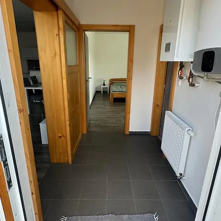 Lilly * Borovany (Ceske Budejovice)