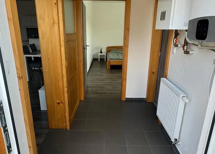 Lilly * Borovany (Ceske Budejovice)